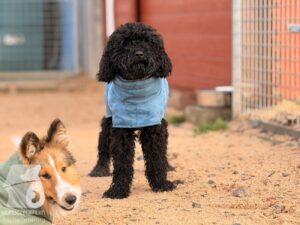 Hutabilder-25-12-w01-0017