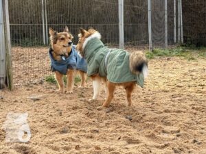 Hutabilder-25-12-w01-0018