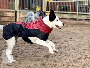 Hutabilder-25-12-w01-004