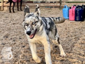 Hutabilder-25-12-w01-005