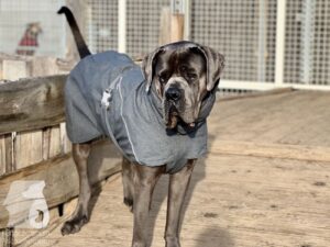 Hutabilder-25-12-w01-006