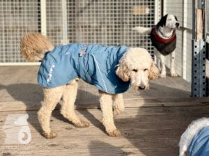 Hutabilder-25-12-w01-007