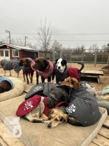 Hutabilder-25-12-w01-009