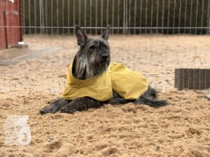 Hutabilder-25-12-w01-010