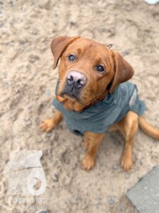 Hutabilder-25-12-w01-012