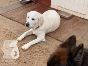 Hutabilder-25-12-w01-013