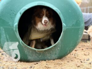 Hutabilder-25-12-w01-014