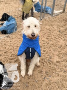 Hutabilder-25-12-w01-015