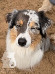 Hutabilder-25-12-w01-017