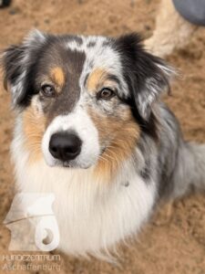 Hutabilder-25-12-w01-018