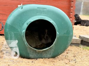 Hutabilder-25-12-w01-020