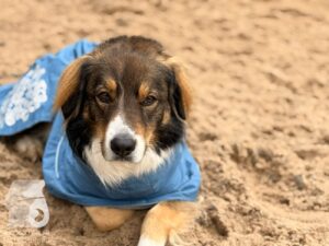 Hutabilder-25-12-w01-024