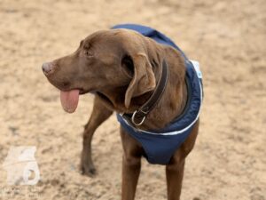 Hutabilder-25-12-w01-025