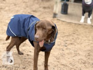 Hutabilder-25-12-w01-026