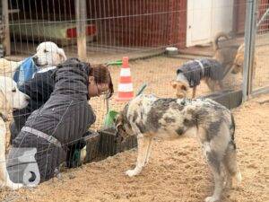 Hutabilder-25-12-w01-027