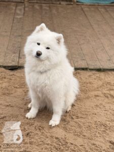 Hutabilder-25-12-w01-028