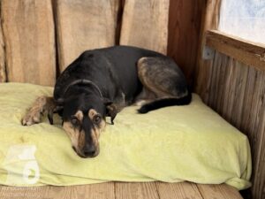 Hutabilder-25-12-w01-030