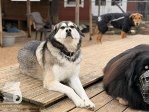 Hutabilder-25-12-w01-031