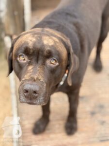 Hutabilder-25-12-w01-033