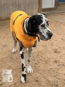 Hutabilder-25-12-w01-034