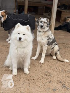 Hutabilder-25-12-w01-035