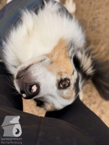 Hutabilder-25-12-w01-036