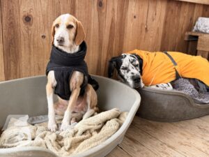 Hutabilder-25-12-w01-039