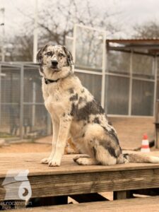 Hutabilder-25-12-w01-040