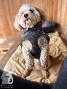 Hutabilder-25-12-w01-041