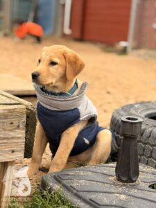 Hutabilder-25-12-w01-042