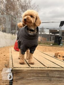 Hutabilder-25-12-w01-043