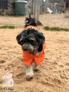 Hutabilder-25-12-w01-044