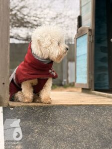 Hutabilder-25-12-w01-045