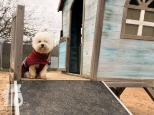 Hutabilder-25-12-w01-046