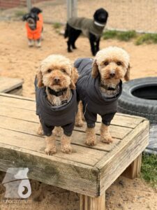 Hutabilder-25-12-w01-047