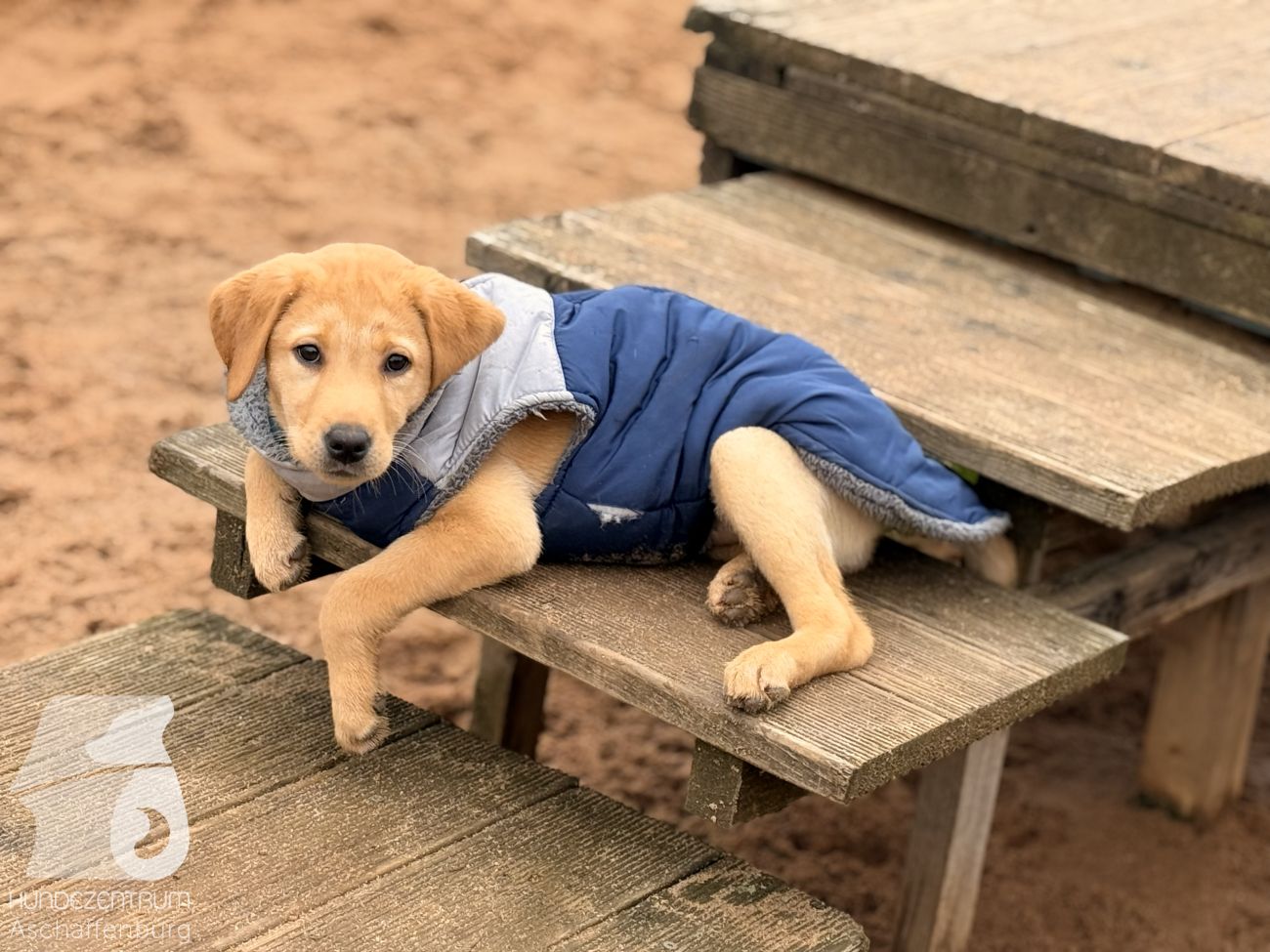 Mehr über den Artikel erfahren Dezember 2025