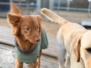 Hutabilder-25-12-w01-051