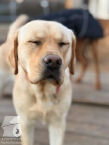 Hutabilder-25-12-w01-052