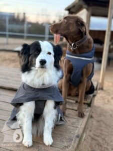 Hutabilder-25-12-w01-053