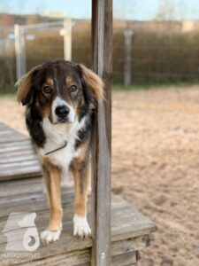 Hutabilder-25-12-w01-054