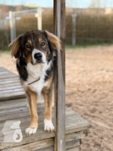 Hutabilder-25-12-w01-055