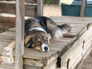 Hutabilder-25-12-w01-056