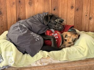 Hutabilder-25-12-w01-057