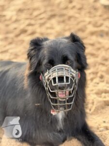 Hutabilder-25-12-w01-058