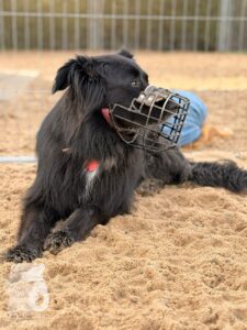 Hutabilder-25-12-w01-061