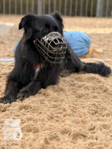 Hutabilder-25-12-w01-062