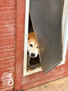 Hutabilder-25-12-w01-063