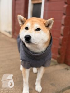 Hutabilder-25-12-w01-064