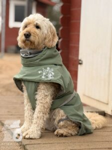 Hutabilder-25-12-w01-065