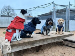 Hutabilder-25-12-w01-068